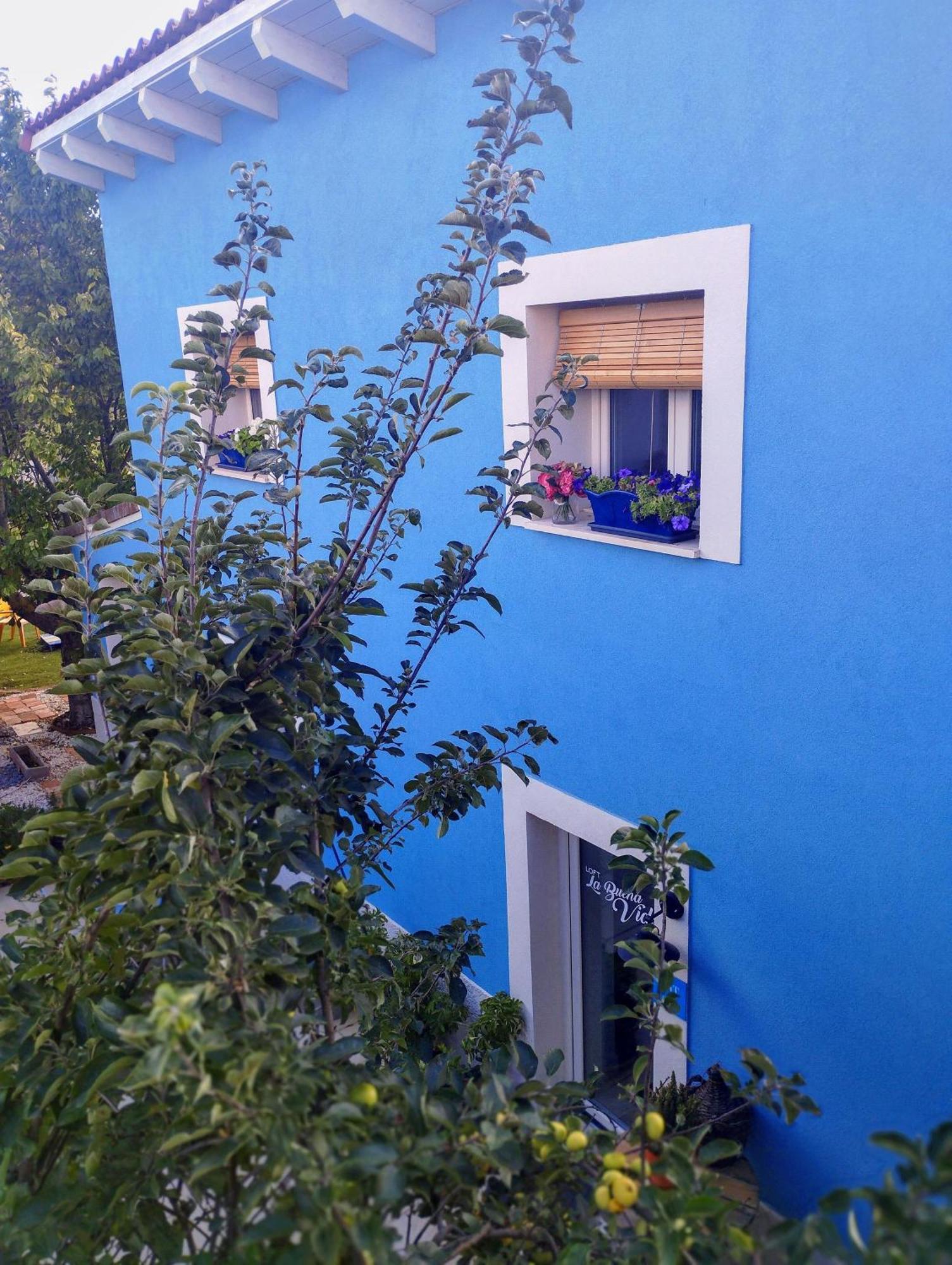 Loft La Buena Vida Lägenhet Penaranda de Duero Exteriör bild