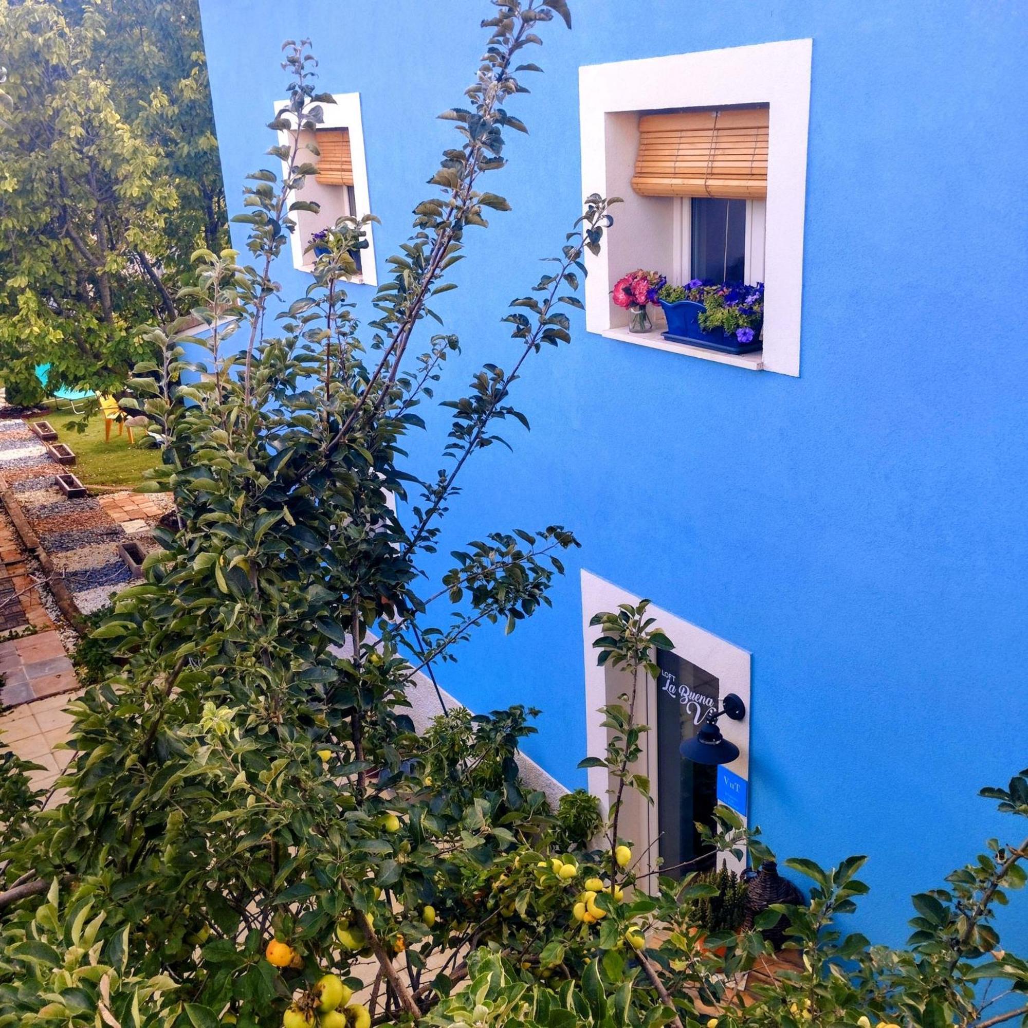 Loft La Buena Vida Lägenhet Penaranda de Duero Exteriör bild