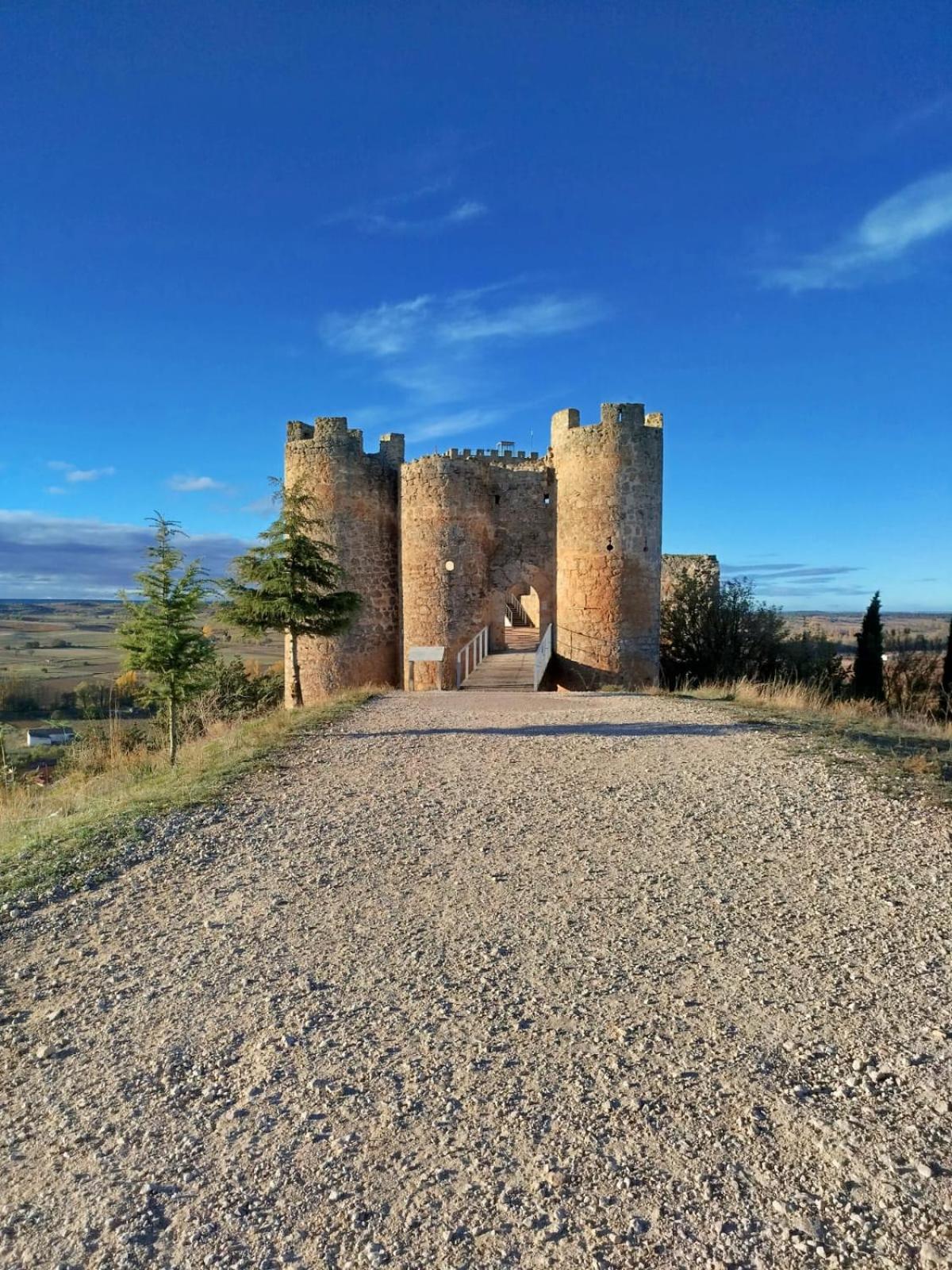 Loft La Buena Vida Lägenhet Penaranda de Duero Exteriör bild